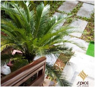 فندق Kochiفي  Spice Holidays المظهر الخارجي الصورة